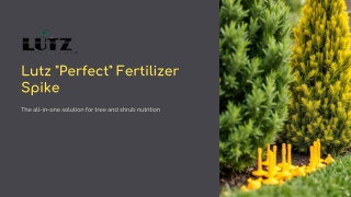 Boost Tree and Shrub Growth with Lutz “Perfect” Fertilizer Spikes | All-Purpose