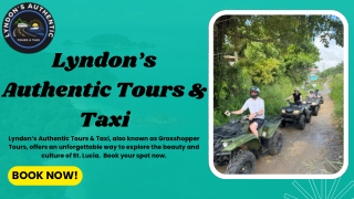 St Lucia Private Tours