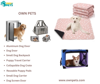 Reliable Dog Door for Easy Access and Maximum Comfort