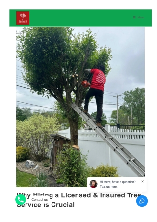 Why Hiring a Licensed & Insured Tree Service is Crucial
