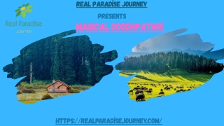 Discovering Doodhpathri: Kashmir’s Hidden Paradise with Real Paradise Journey