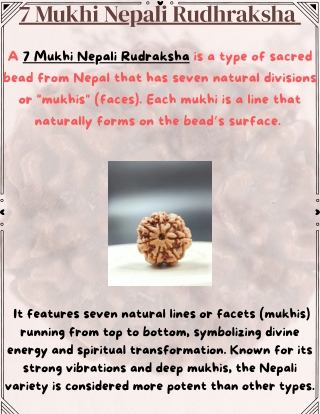 7 Mukhi Nepali Rudraksha – A Divine Bead for Wealth & Energy