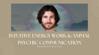 Intuitive Energy Work & Animal Psychic Communication