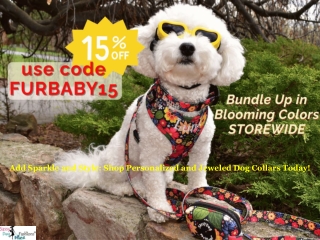 Add Sparkle and Style: Shop Personalized and Jeweled Dog Collars Today!