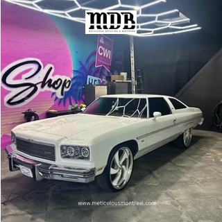 meticulous pdf white car