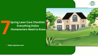 Spring Lawn Care Checklist  Everything Dallas  Homeowners Need to Know
