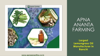 Largest Lemongrass Oil Manufacturer in Ranchi