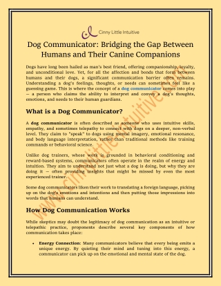Understanding Your Dog on a Deeper Level: The Role of a Dog Communicator