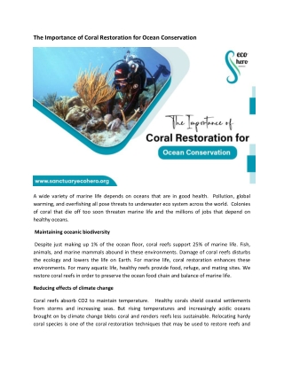 The Importance of Coral Restoration for Ocean Conservation