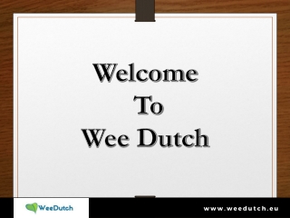 CBC Isolate Oil - Wee Dutch