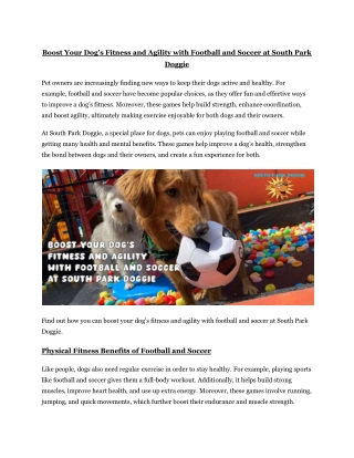 Boost Your Dog’s Fitness and Agility with Football and Soccer