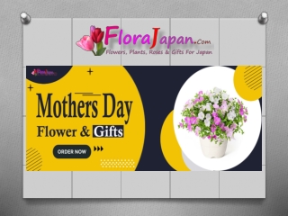 Mothers Day Gift Delivery To Japan