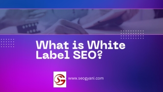 What is White Label SEO