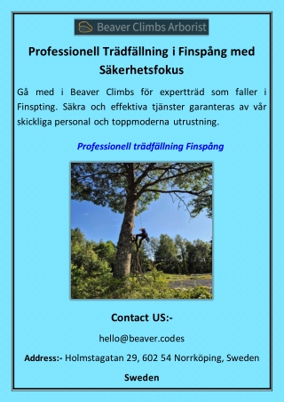 Professionell Trädfällning i Finspång med Säkerhetsfokus