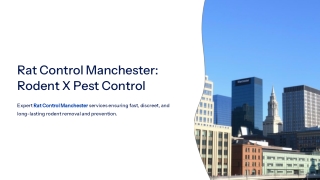 Professional Rat Control Manchester – Fast & Effective Solutions