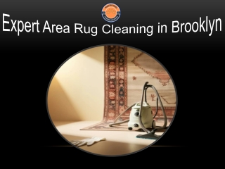 Expert Area Rug Cleaning in Brooklyn