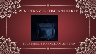 Wink Travel Kit