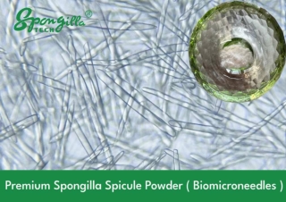 Premium Wholesale Algae Peels for Spas & Clinics - Chengdu Cosmotek