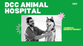 Best Pet Hospital in Delhi