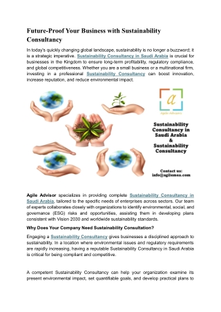 Future-Proof Your Business with Sustainability Consultancy
