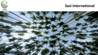 Palm Leaf Products - Coconut Shell Products​ - Reed Straw