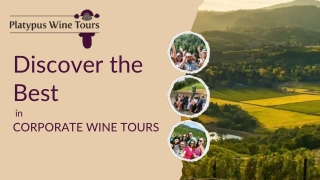Discover the Best in Corporate Wine Tours