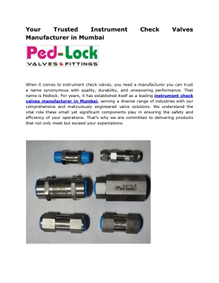 Your Trusted Instrument Check Valves Manufacturer in Mumbai