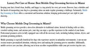 Luxury Pet Care at Home: Best Mobile Dog Grooming Services in Miami