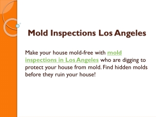Mold Inspections Los Angeles