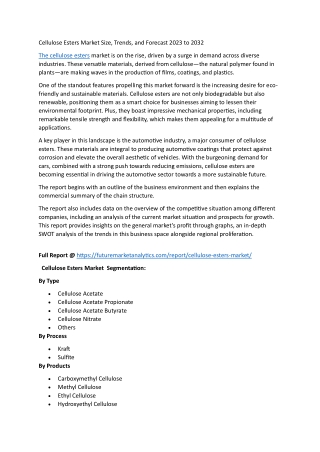 Future Outlook of the Cellulose Esters Market – Key Insights