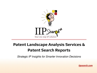 Patent Landscape Analysis Services & Patent Search Reports | IIP Search