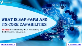 SAP PaPM Training in Ameerpet | SAP PaPM Course Online