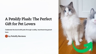 The Perfect Gift for Pet Lovers: A Petslify Plush