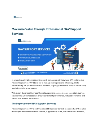 Maximize Value Through Professional NAV Support Services