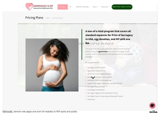 Price of Surrogacy in USA – Affordable Options with MediPocket Surrogacy USA