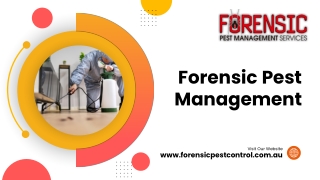 Pest Control Bella Vista