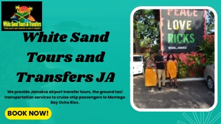 Jamaica Tours and Transfers