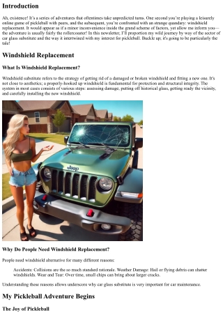 Windshield Replacement Stories: My Pickleball Adventure