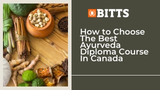 How to Choose The Best Ayurveda Diploma Course In Canada