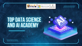 Join the Top Data Science and AI Academy: We Offer the Leading Data Science with