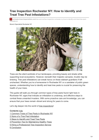 Tree Inspection Rochester NY How to Identify and Treat Tree Pest Infestations