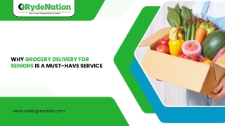 Blue Professional Project Proposal Presentation