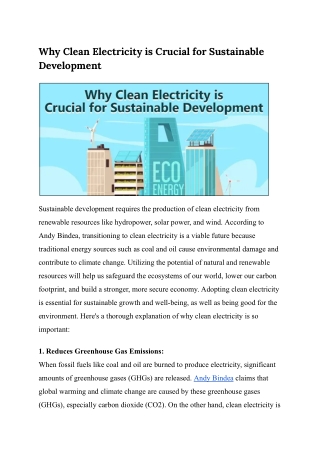 Andy Bindea on Clean Power and Its Impact on Global Sustainability Goals