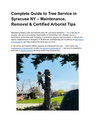 Complete Guide to Tree Service in Syracuse NY – Maintenance, Removal & Certified Arborist Tips