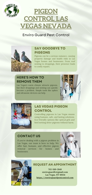 Pigeon Control Las Vegas Nevada