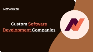 Custom Software Development Companies - PPT