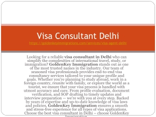 Visa Consultant Delhi