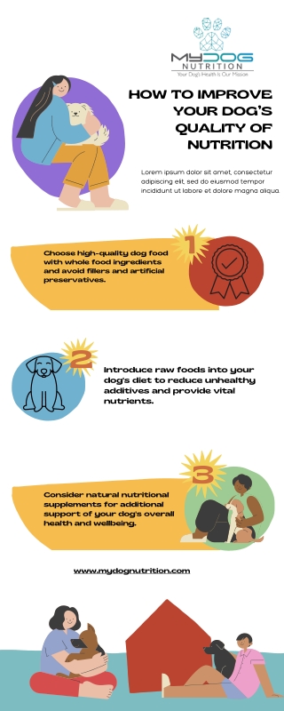 How To Improve Your Dog’s Quality Of Nutrition