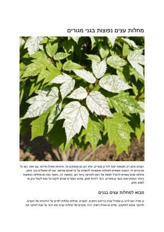 Environmental Stress A Hidden Cause of Tree Health Decline