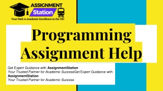 Programming Assignment Help